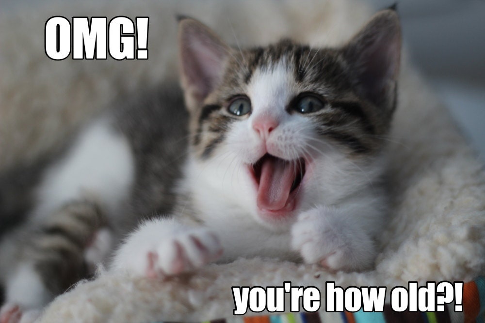 omg you're how old funny cat card funny kitten card il_fullxfull.821448853_1gde?version=1 omg you're how old funny cat card funny kitten card